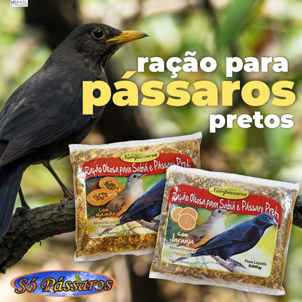 Ração para Sabiá e Pássaro Preto