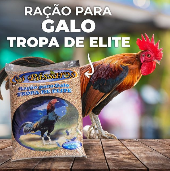 Ração Para Galo Só Pássaros